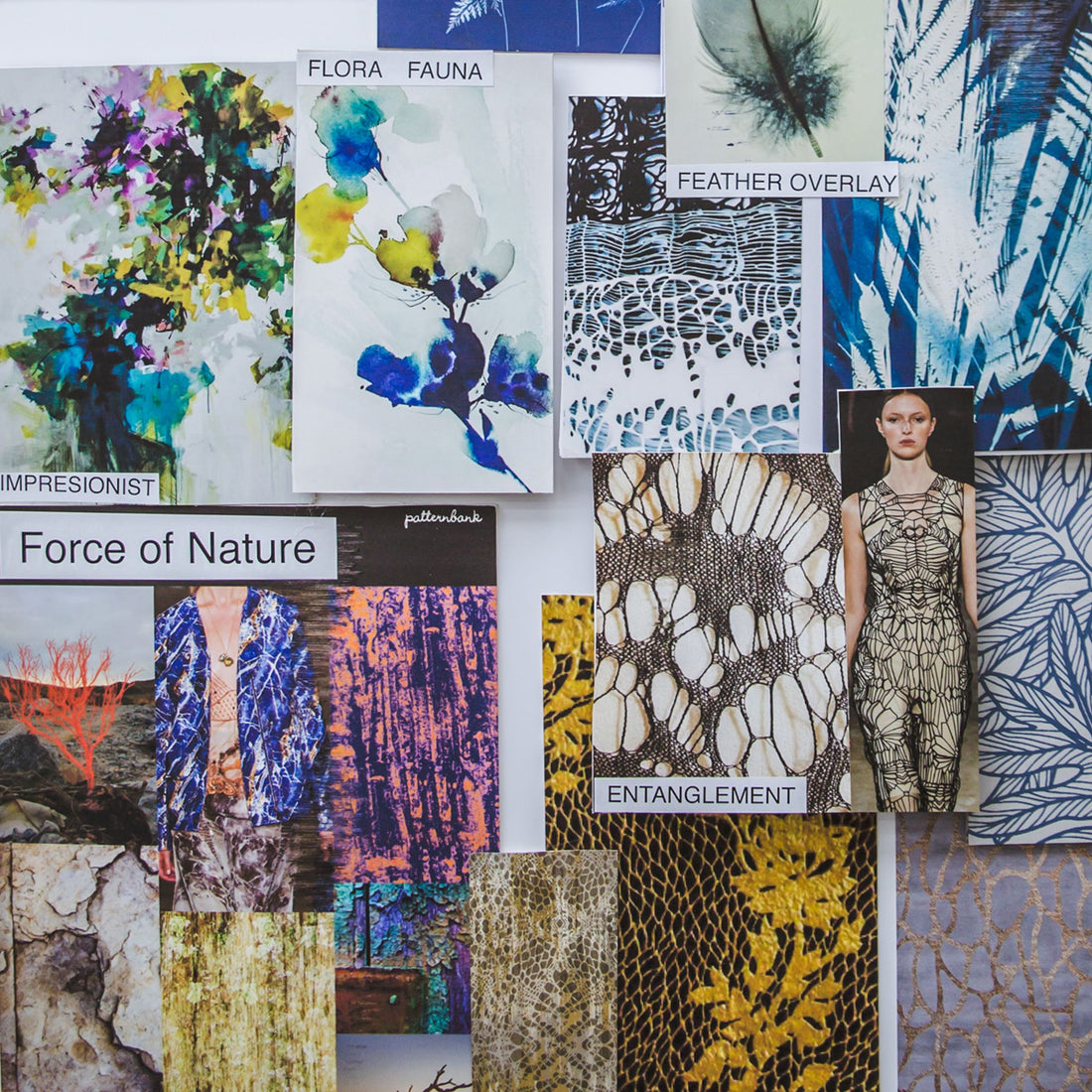 The Inspiration Behind Our New Collection // Aurora