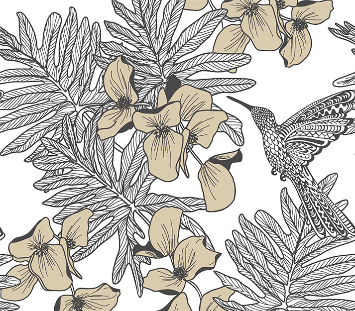 Hummingbird Jet Black and Metallic Luxury Bird Wallpaper