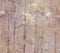 Glade Beach Neutral Luxury Tree Wallpaper