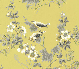 Rosemore Yellow Luxury Bird Wallpaper