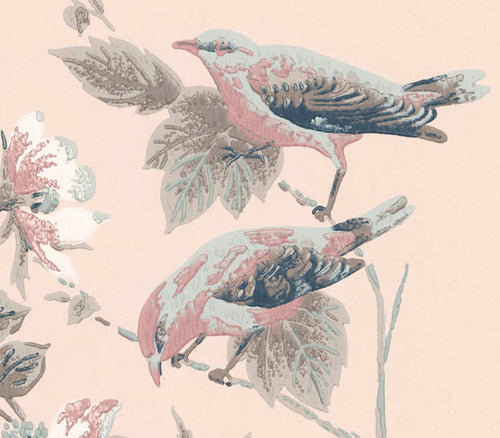 Rosemore Pink Luxury Bird Wallpaper