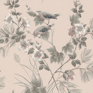 Rosemore Pink Luxury Bird Wallpaper