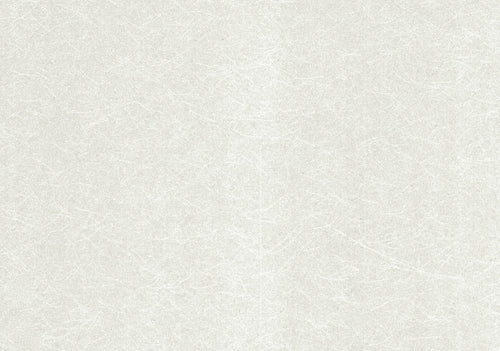 Carla Ivory Cream Luxury Plain Wallpaper