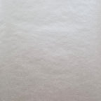 Carla Ivory Cream Luxury Plain Wallpaper