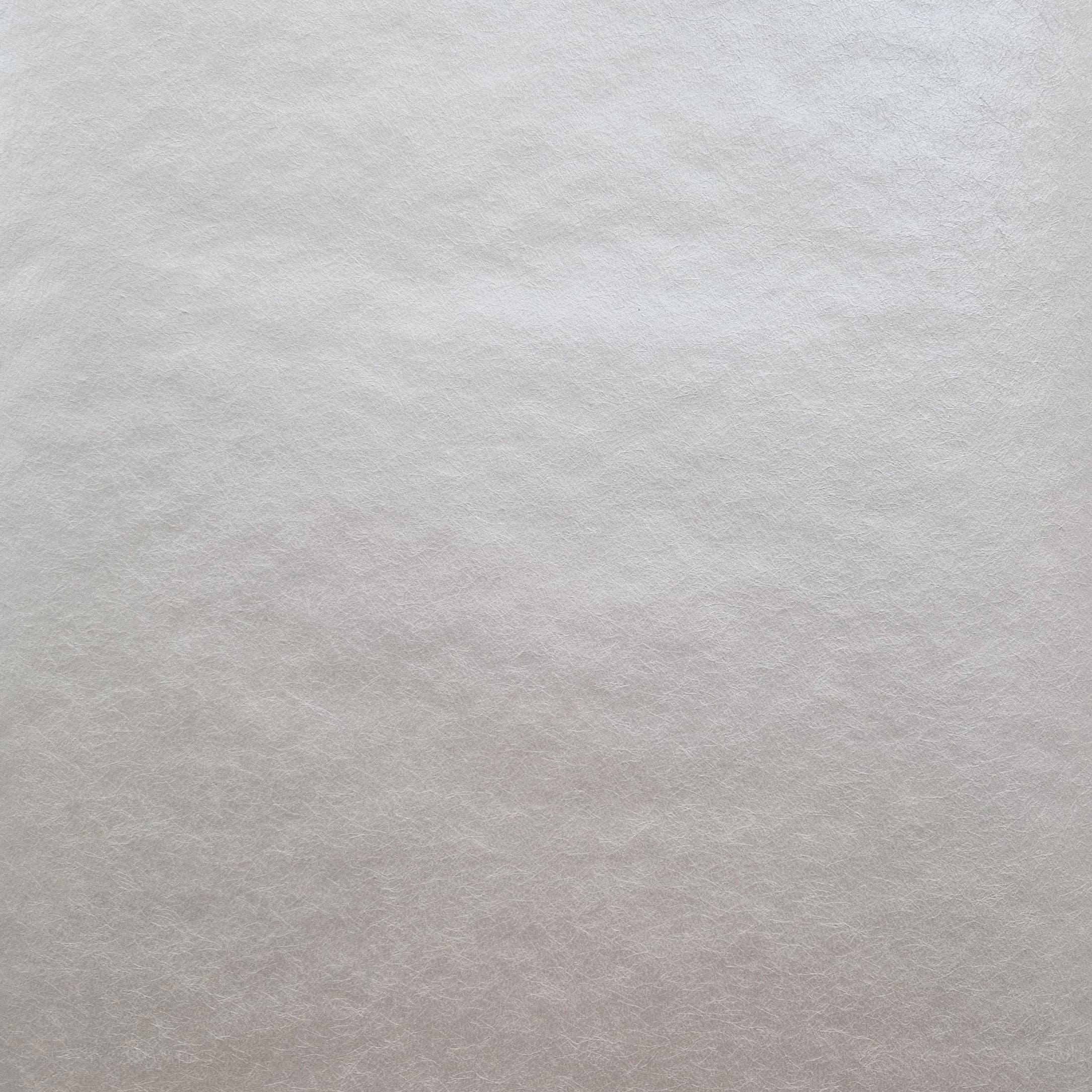 Carla Ivory Cream Luxury Plain Wallpaper