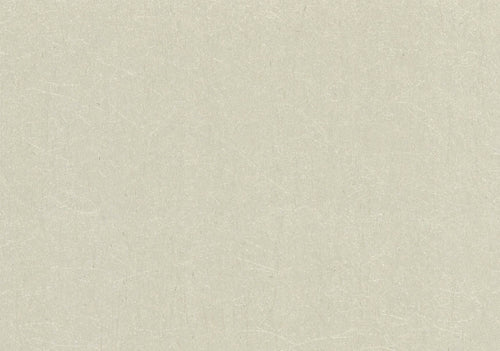 Carla Natural Luxury Plain Wallpaper