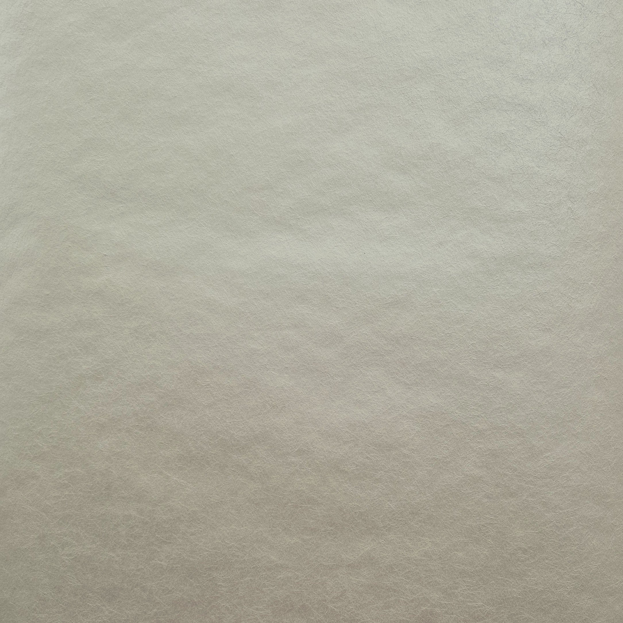 Carla Natural Luxury Plain Wallpaper