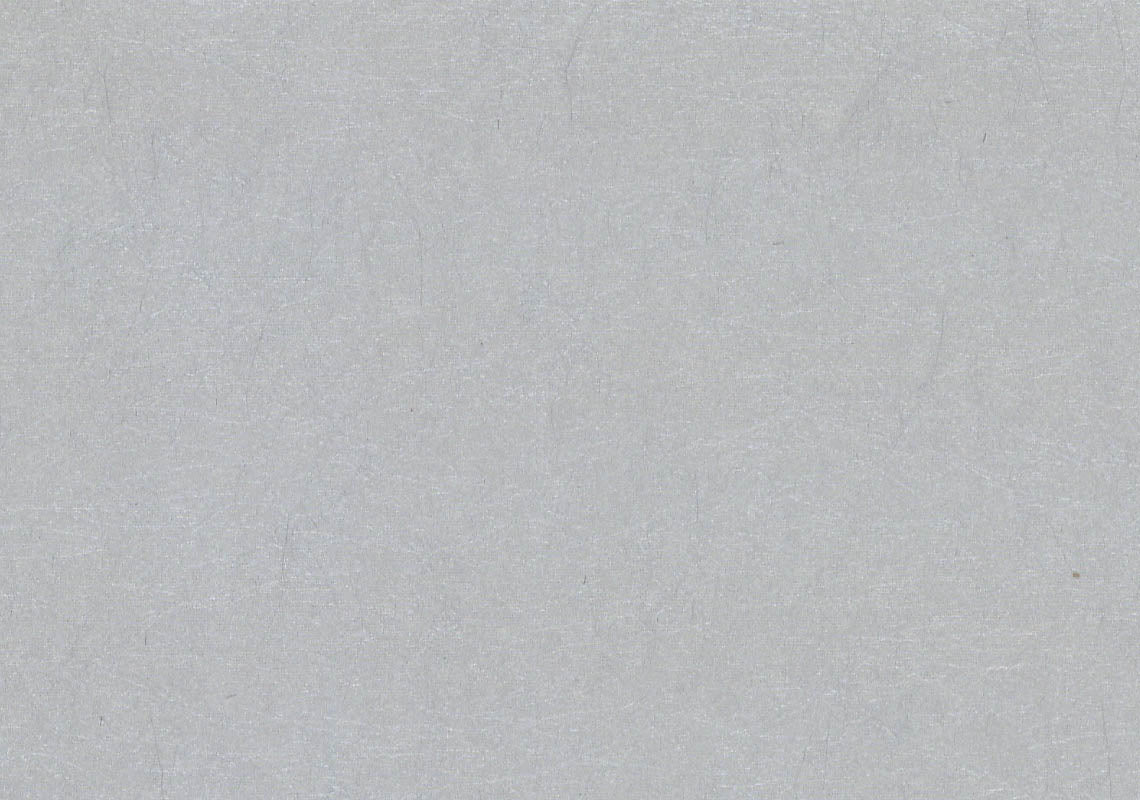 Carla Silver Luxury Plain Wallpaper