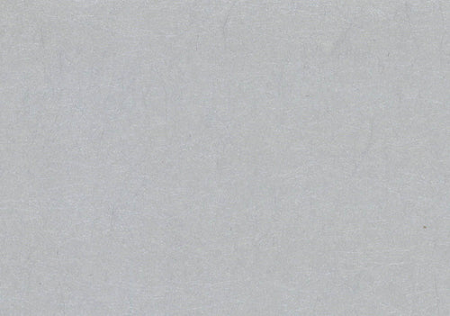 Carla Silver Luxury Plain Wallpaper