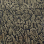 Tranquil Jet Black and Gold Foil Luxury Feather Wallpaper