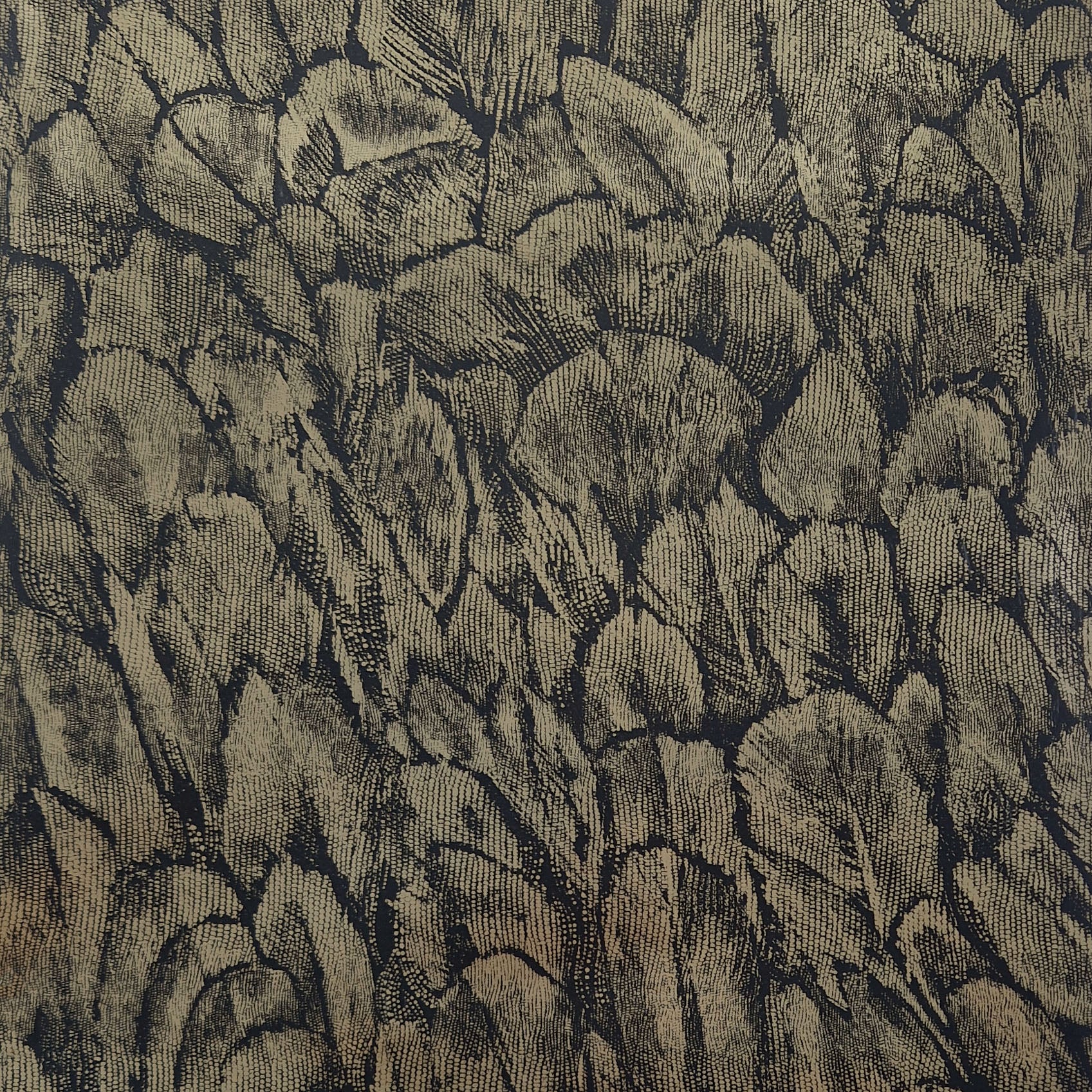 Tranquil Jet Black and Gold Foil Luxury Feather Wallpaper