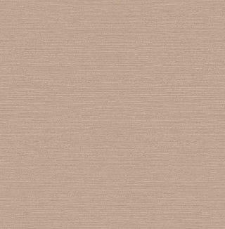 Raffia Beach Neutral Luxury Plain Wallpaper