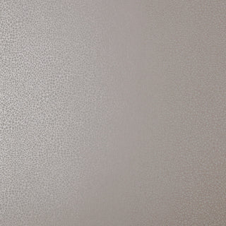 Emile Rose Pink Luxury Crackle Wallpaper