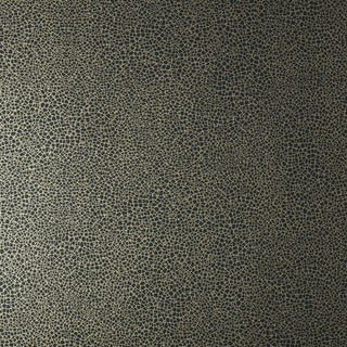 Emile Jet Black Luxury Crackle Wallpaper