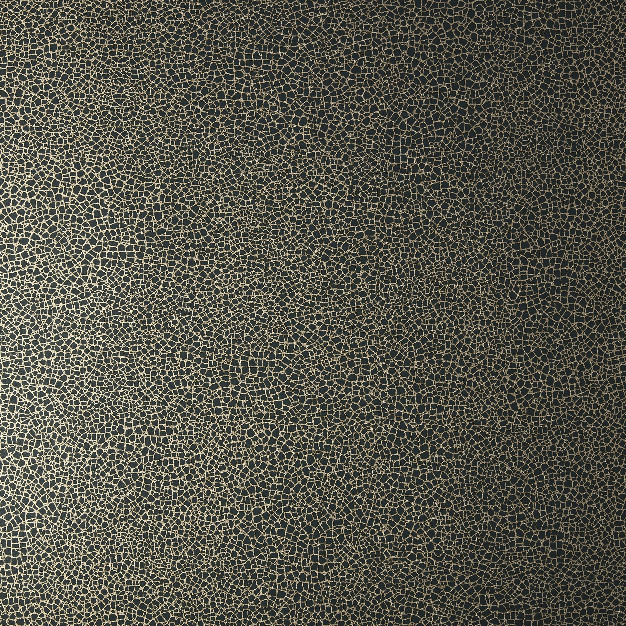 Emile Jet Black Luxury Crackle Wallpaper