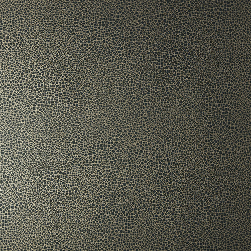 Emile Jet Black Luxury Crackle Wallpaper