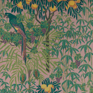 V&A Macaw - Blush Pink Wallpaper