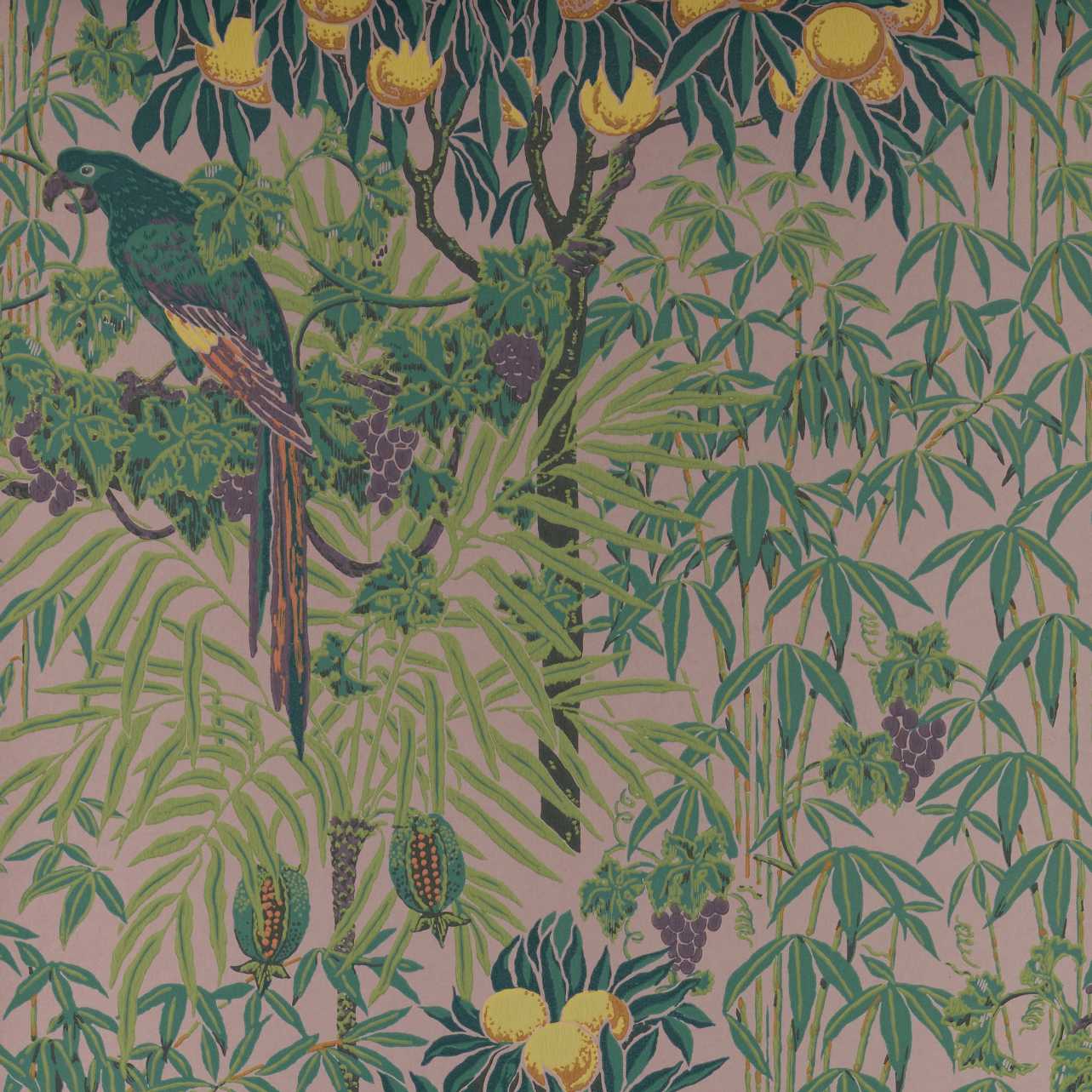 V&A Macaw - Blush Pink Wallpaper