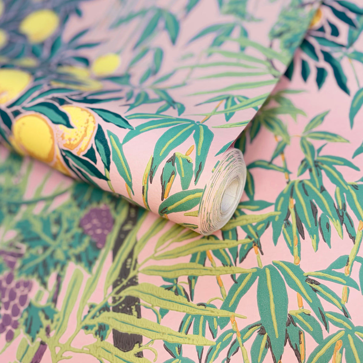 V&A Macaw - Blush Pink Wallpaper