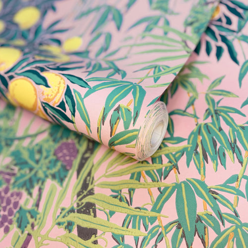 V&A Macaw - Blush Pink Wallpaper