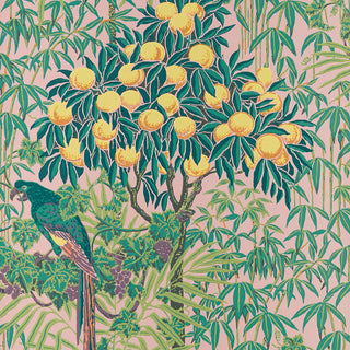 V&A Macaw - Blush Pink Wallpaper