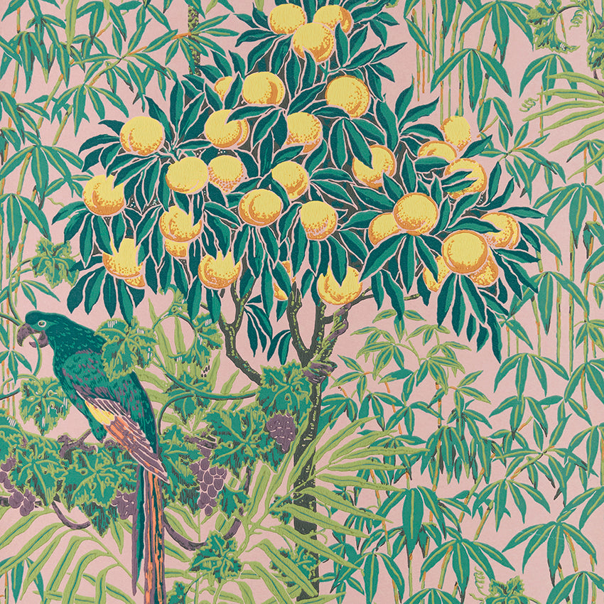 V&A Macaw - Blush Pink Wallpaper