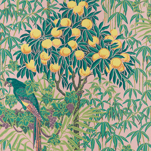 V&A Macaw - Blush Pink Wallpaper