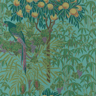V&A Macaw - Teal Wallpaper