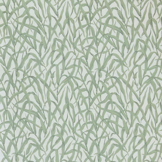 V&A Ornamental Grasses - Sage Green Wallpaper