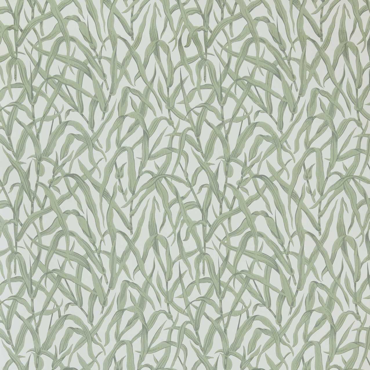 V&A Ornamental Grasses - Sage Green Wallpaper