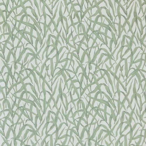 V&A Ornamental Grasses - Sage Green Wallpaper