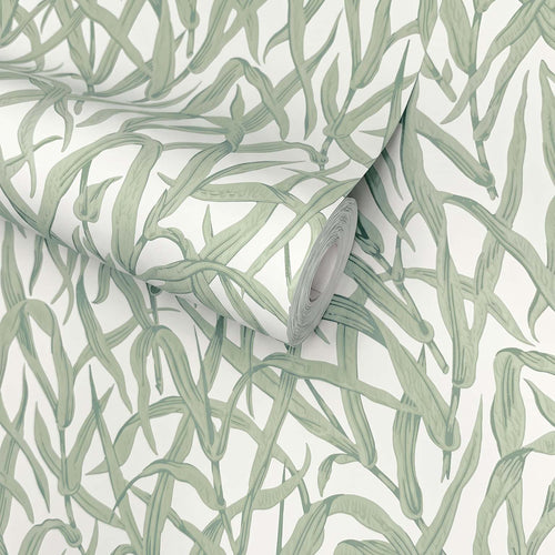 V&A Ornamental Grasses - Sage Green Wallpaper