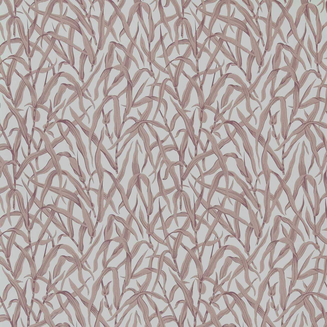 V&A Ornamental Grasses - Rose Pink Wallpaper