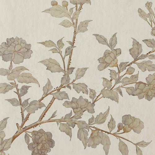 V&A Moor Park - Oyster Wall Mural