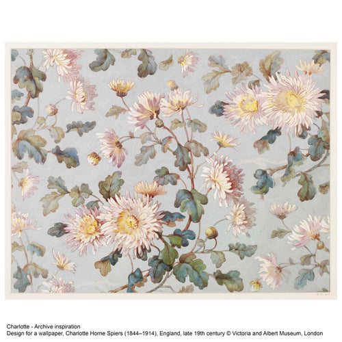 V&A Charlotte - Primrose Wallpaper
