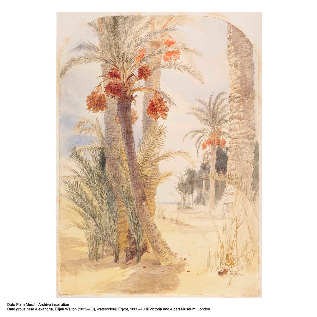 V&A Date Palm - Sand Wall Mural