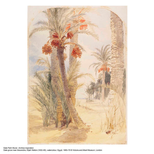 V&A Date Palm - Sand Wall Mural