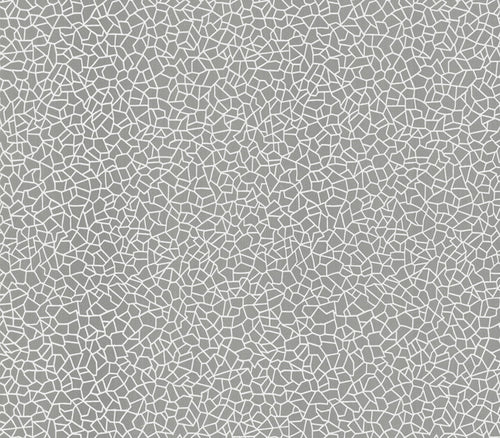 Kew Foil Silver Metallic Luxury Wallpaper