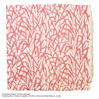 V&A Ornamental Grasses - Sage Green Wallpaper