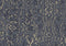Avington Navy Blue Luxury Moire Wallpaper