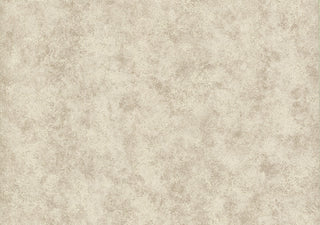 Fenton Taupe Neutral Luxury Plain Wallpaper