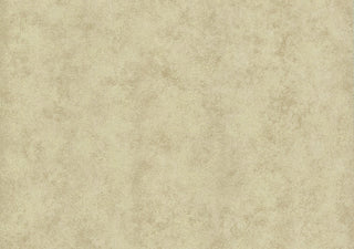 Fenton Soft Gold Luxury Plain Wallpaper